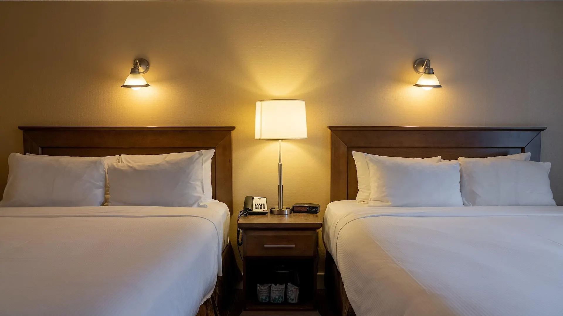 Irwin'S Mountain Inn Banff Kanada